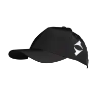 day one Performance Cap